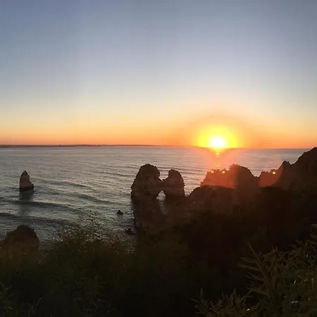 Magnolia Mar *