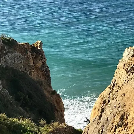 Magnolia Mar شقة *